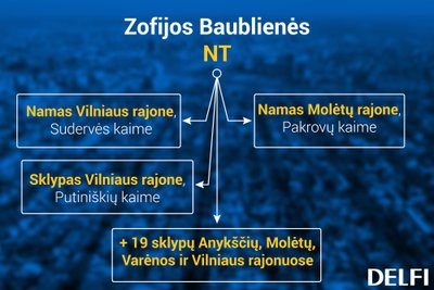 Z. Baublienės valdomas NT