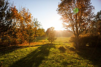 Kavinė "Vaidilutė"