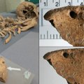Romos laikų gladiatoriaus kaulus aptikę mokslininkai patvirtino išvadą apie kraupią to meto pramogų realybę