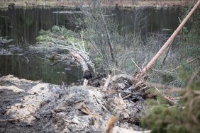 Kas po nelaimės buvo padaryta Pabradės poligone