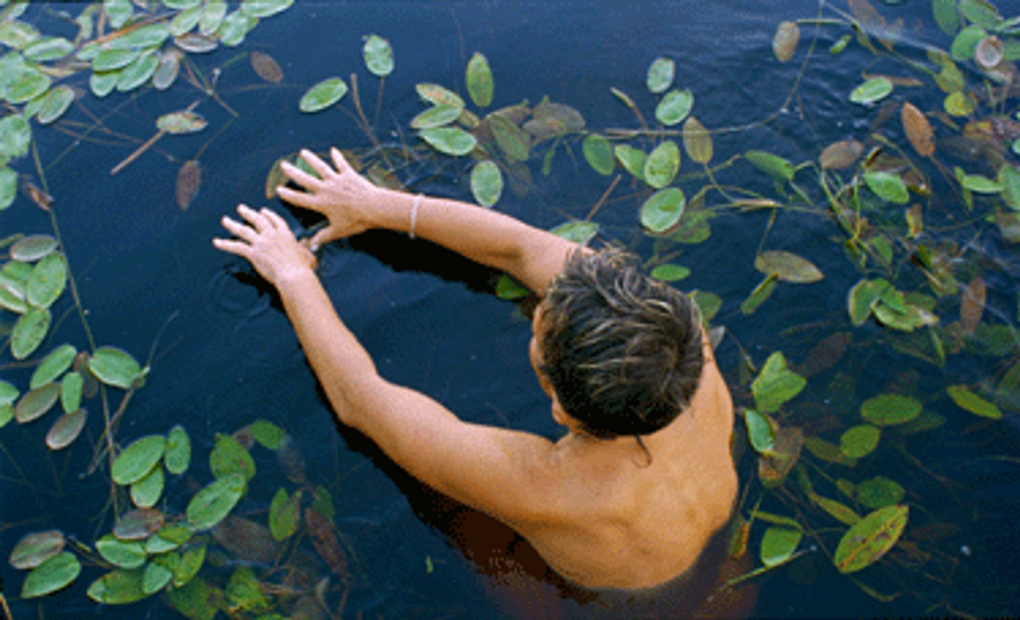A.Stonio filmui - ispaniški laurai - Delfi veidai