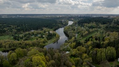 Seimui pateiktas Miško įstatymo pakeitimo projektas