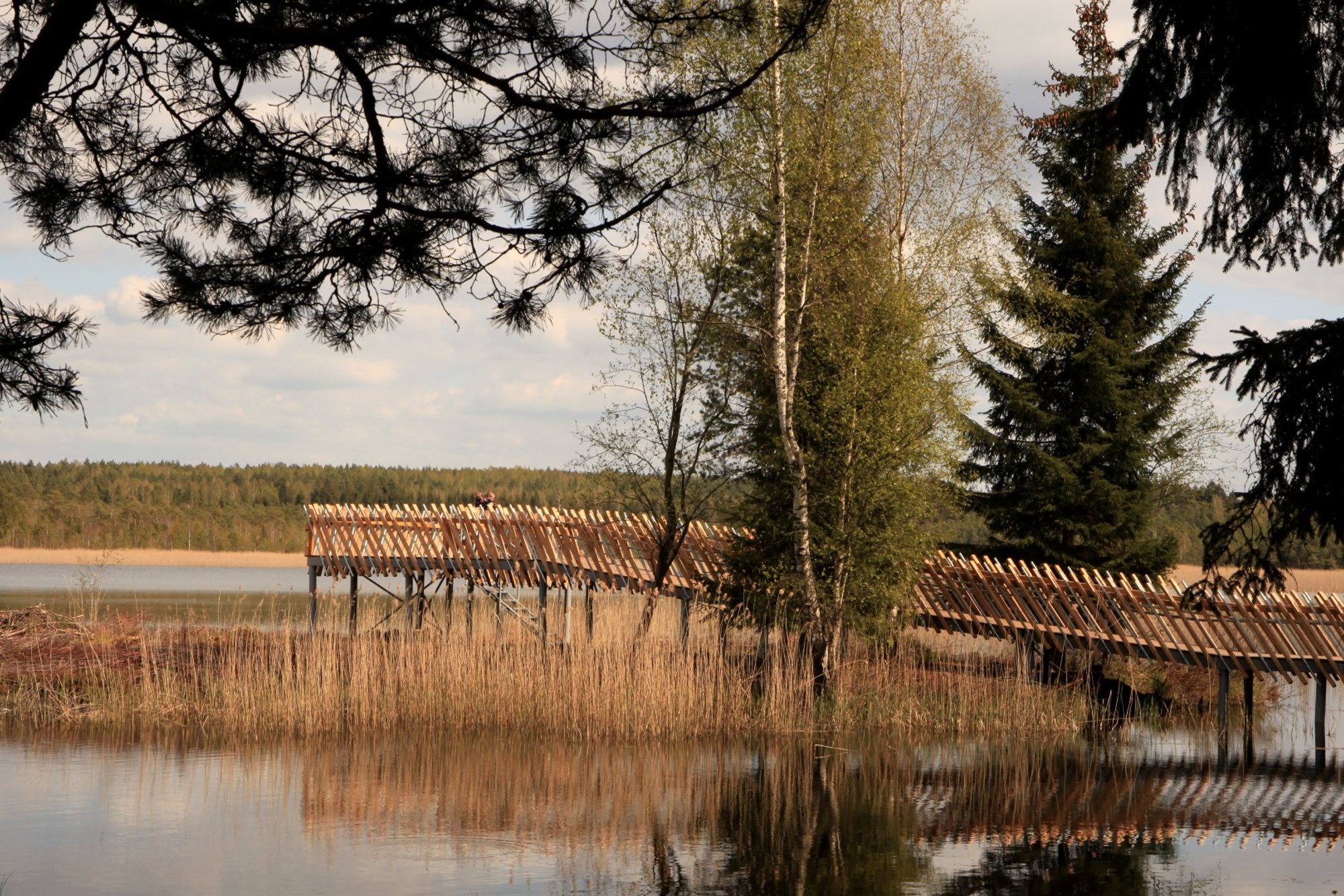 Kelionės po Lietuvą: pažintiniai takai, tikroji piligrimystė ir ...