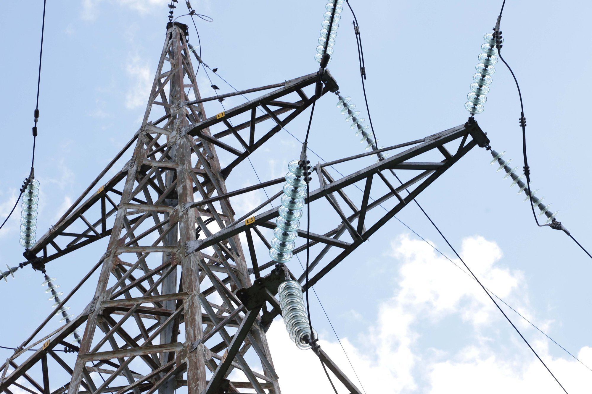 Lithuania's Electricity Price Drops 25% Amidst Wind Power Surge