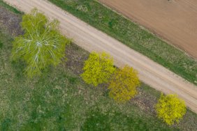 Vardadieniai ir kitos įdomybės gegužės 2-ąją