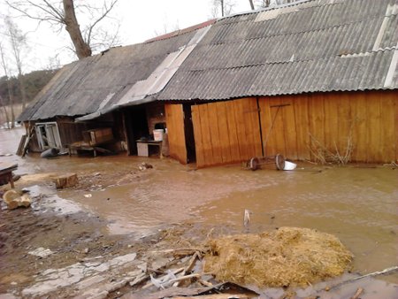 Vilkijos seniūnija. Skaitytojos Laimos nuotr.