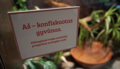 Vilniaus zoologijos sodas „Zoopark“