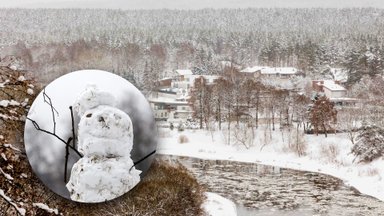 Atkapstė oro temperatūros stebėjimo istoriją: jei situacija nebūtų pasikeitusi, dabar lipdytume sniego senį