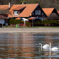 Po šiltų, bet lietingų dienų – vėl permainos: gegužės pradžia tikrai nepradžiugins 