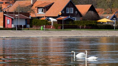 Po šiltų, bet lietingų dienų – vėl permainos: gegužės pradžia tikrai nepradžiugins 