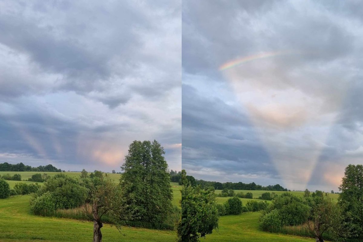 Užfiksavo neįprastą vaizdą Kaišiadorių rajone: paaiškino, kas tai ir ...
