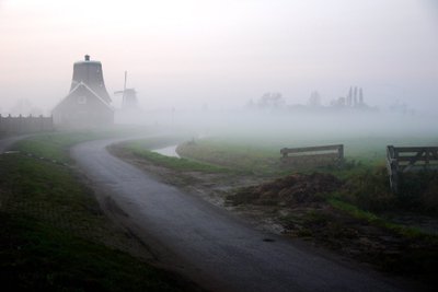 Nyderlandų žemumos