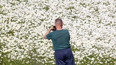 Įsitvirtins vasariški orai: aukščiausia temperatūra sieks 20–25 laipsnius šilumos