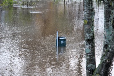 Potvynis Klaipėdoje, Danės upė