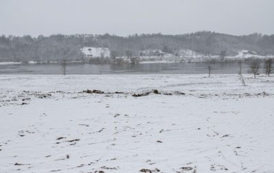 Nemuno ir Nevėžio santaka