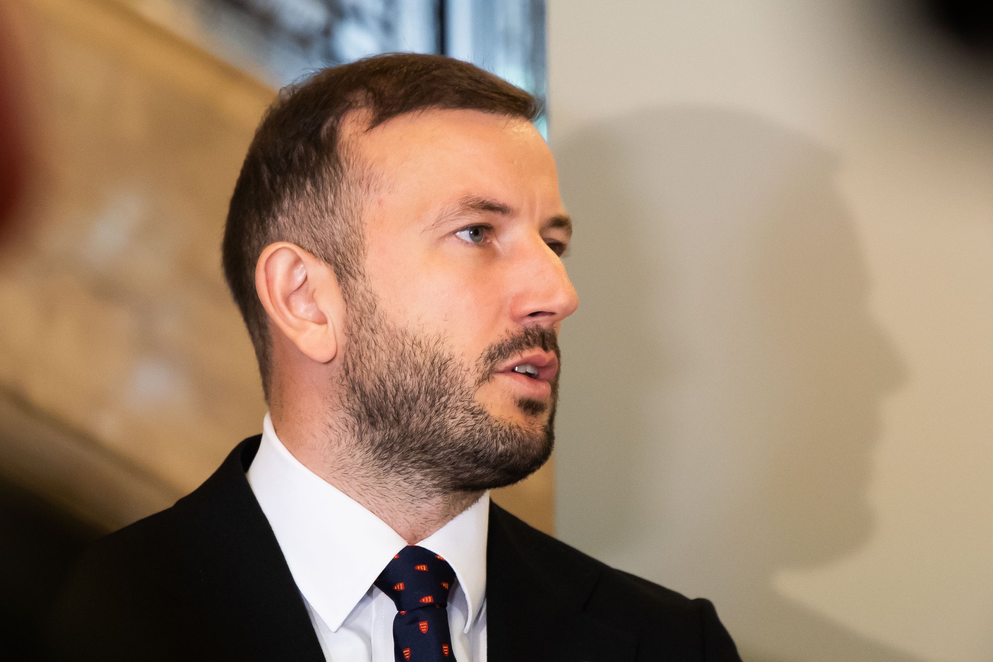 Lithuanian Democrats Union to Elect Permanent Chairman