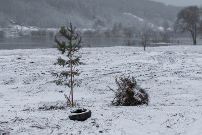 Nemuno ir Nevėžio santaka