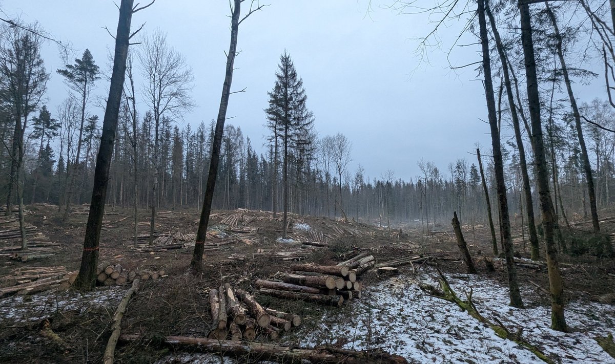 Vanagynės geomorfologinis draustinis