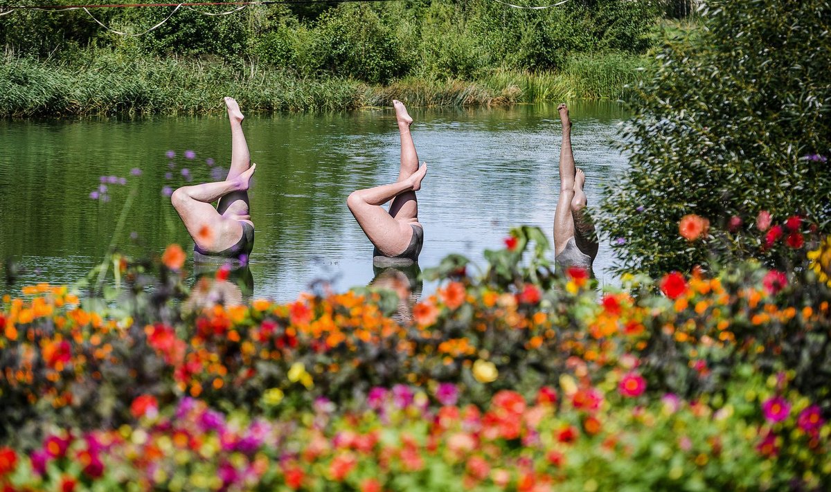 Gėlių ir meno festivalis Pakruojo dvare