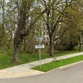 Gyventojų balsas nugalėjo: S. Nėries ir R. Žebenkos gatvių pavadinimai Baisogaloje nesikeis