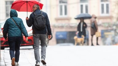 Politikų bandymai mažinti pajamų nelygybę – peilis viduriniajai klasei: kodėl didesnės išmokos daro meškos paslaugą