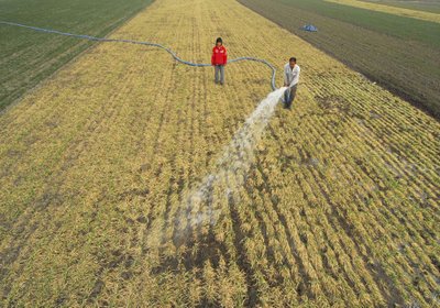 Pasaulis jau kenčia nuo klimato išdaigų: vienoje vietovėje - liūčių, kitoje - sausrų