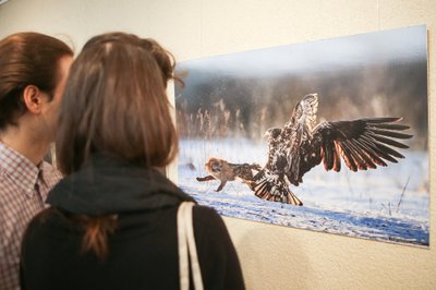 Konkurso „Gintarinis žaltys 2013“ apdovanojimai