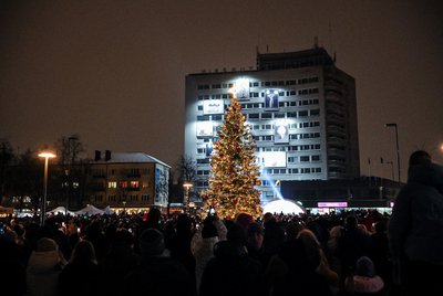 Panevėžio eglė, Živilės Večiorkutės ir Vilmanto Biuliūno nuotr.