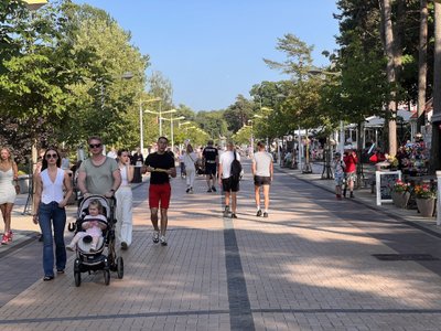 Palanga laukia Joninių