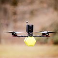 Kasčiūnas: FPV dronais planuojama aprūpinti visą Lietuvos kariuomenę