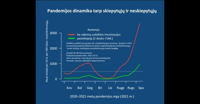 Statistikos departamento diagrama