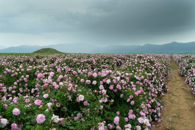 Bulgarija