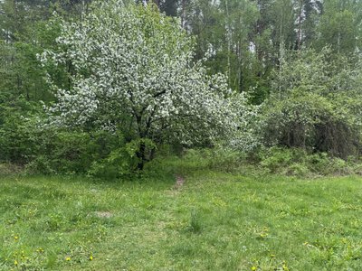 Pasakų parkas 