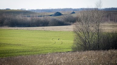 Lietuvoje pasėlių rizikos suvaldytos bene geriausiai Europoje