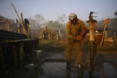 Čitvano nacionalinis parkas (Nepalas)