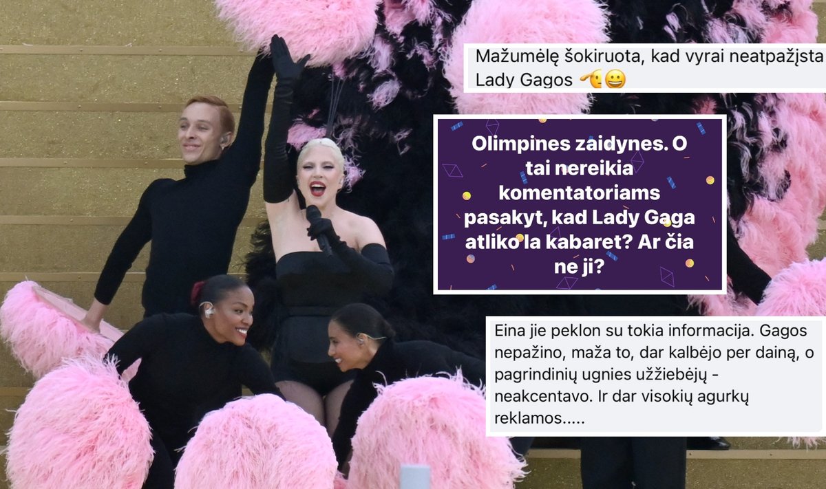 Lady Gaga, pasipiktinusių komentatorių žinutės