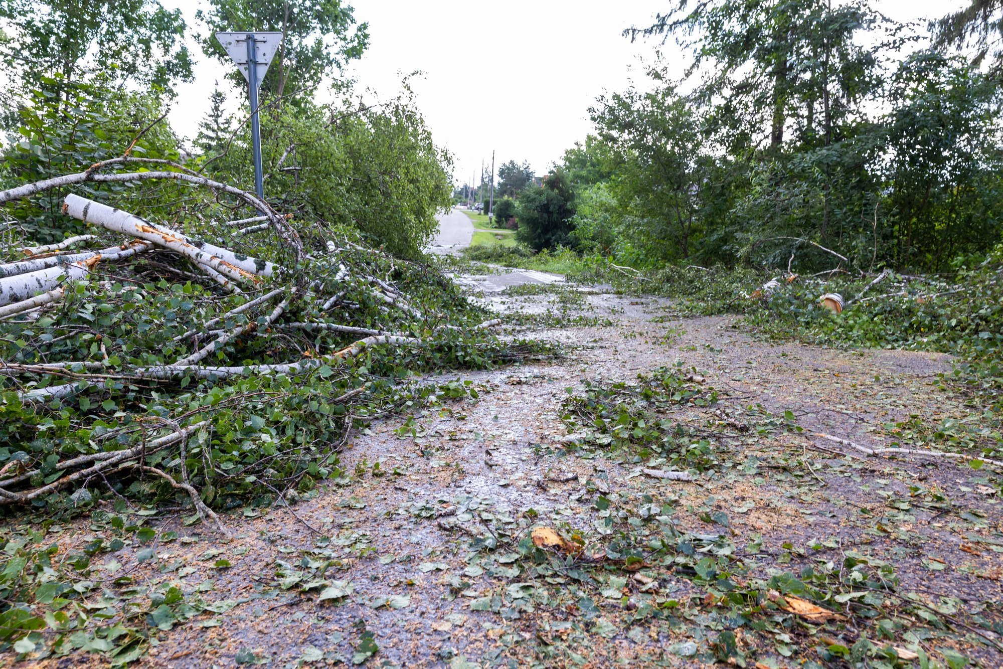 Live: Latest Information on Heavy Rain and Strong Winds Forecast for the Weekend