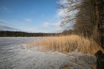 Užšalęs ežeras