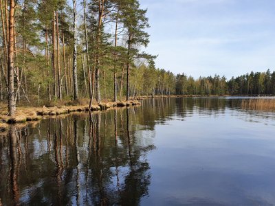 Notigalės telmologinis draustinis