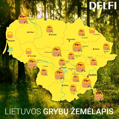 Lietuvos grybų žemėlapis