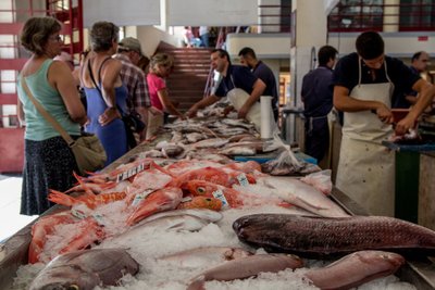 „Mercado dos Lavradores“ turgus