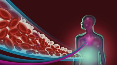 Gydytojai kardiologai įvardijo užkandį Nr. 1: tai stiprina širdį ir mažina cholesterolį