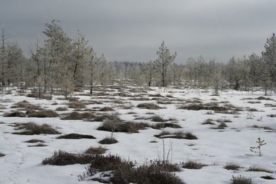 Čepkeliai žiemą