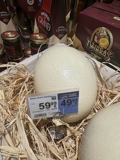Stručio kiaušinis