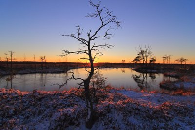 Aukštumalos pelkė žiemą