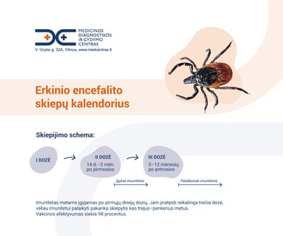 Erkinio encefalito skiepų kalendorius