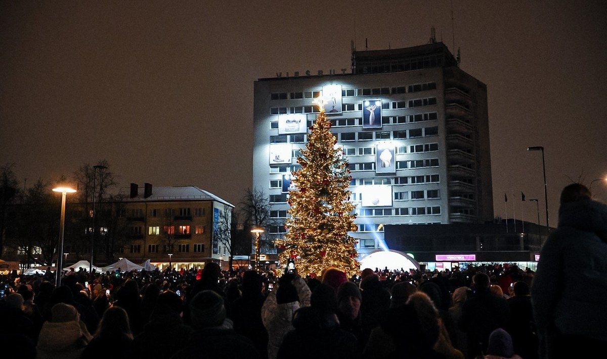 Panevėžio eglė, Živilės Večiorkutės ir Vilmanto Biuliūno nuotr.