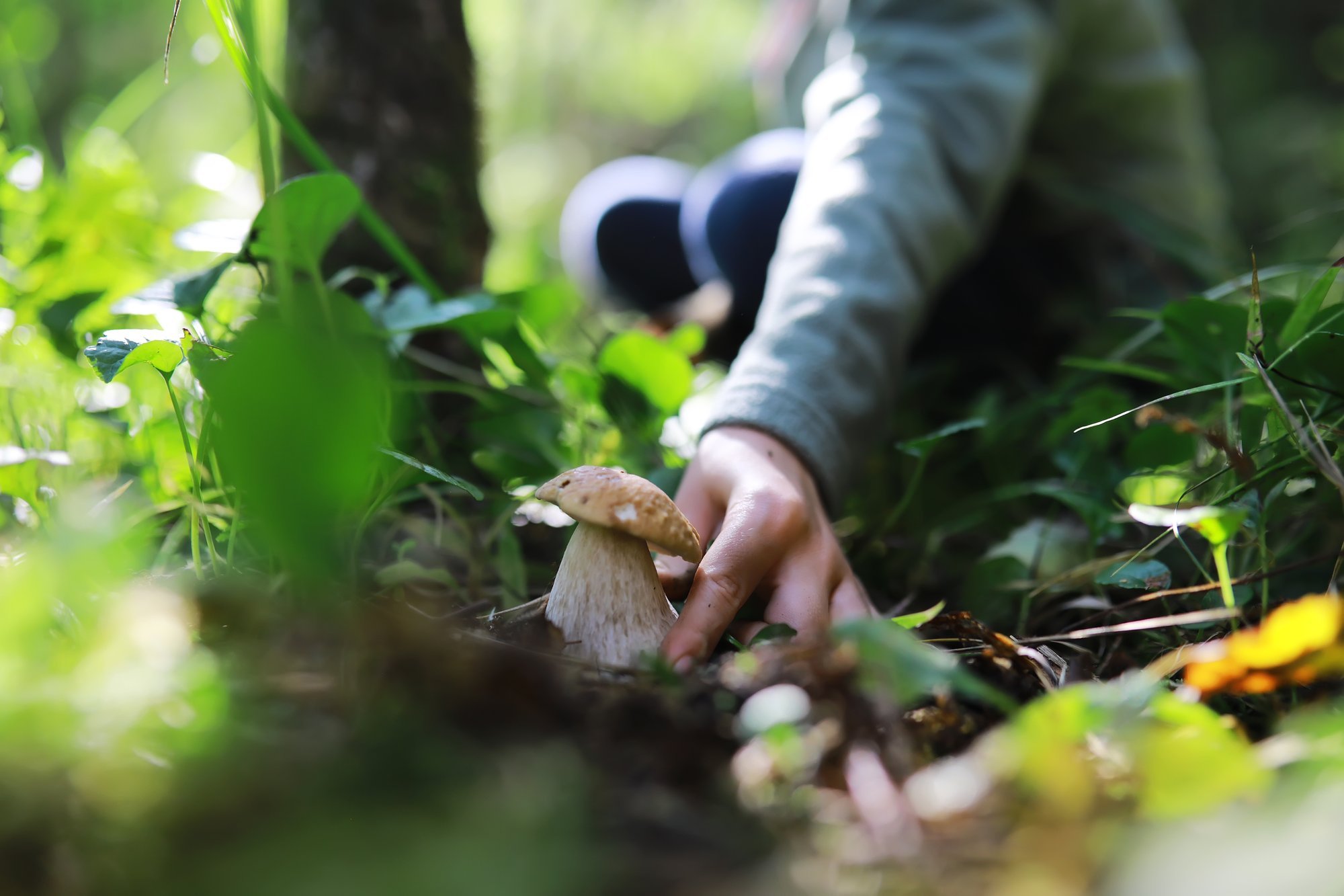 Conserve Your Phone Battery in Forests: Expert Tips for Weak Signal Areas