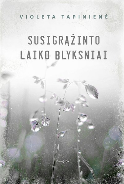 „Susigrąžinto laiko blyksniai“