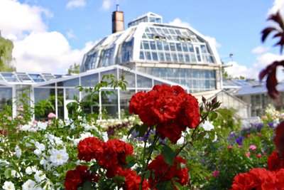 VMU Botanical Garden